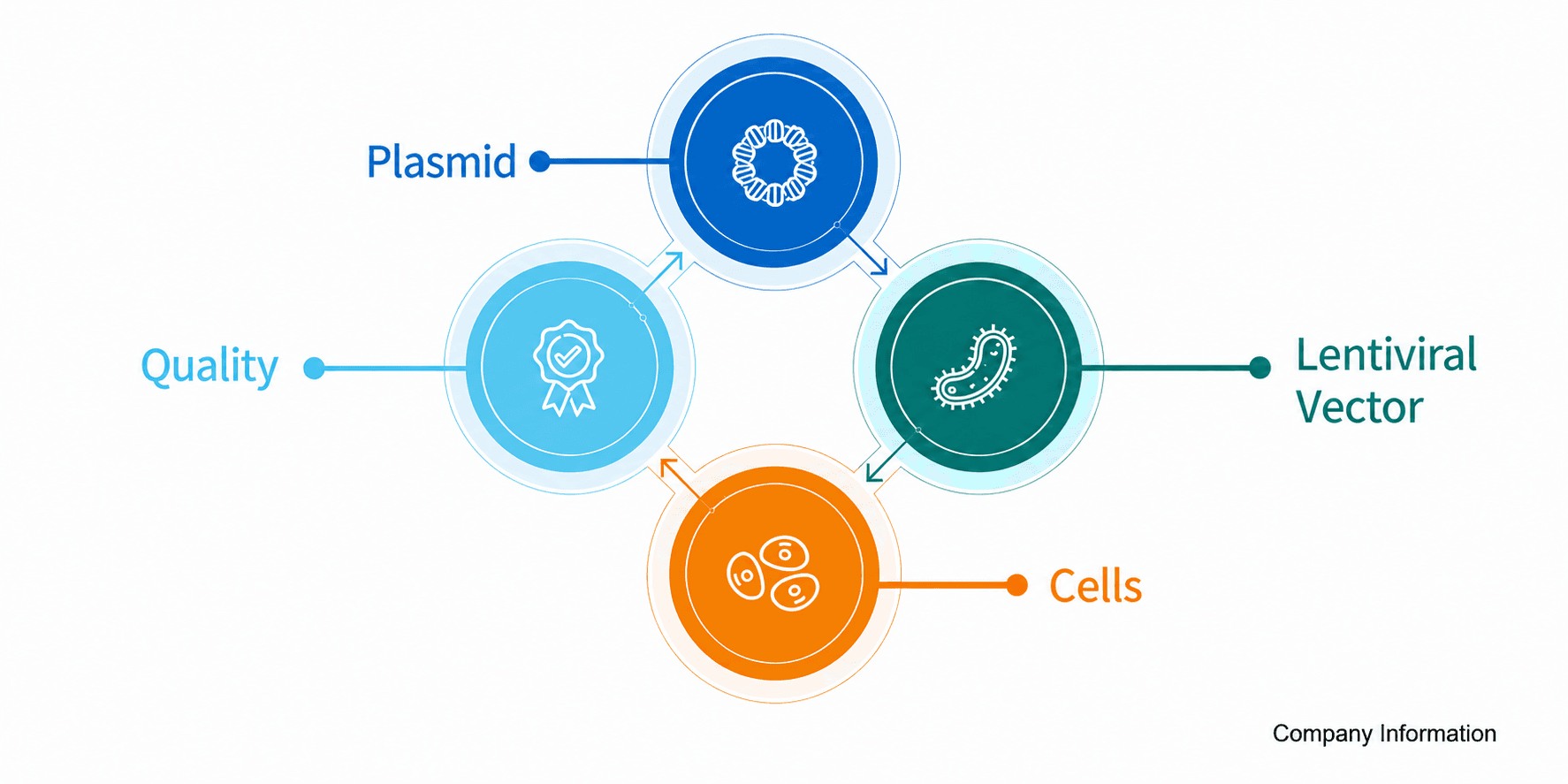 CMC modules spanning plasmid, lentiviral vector, cell, and quality control