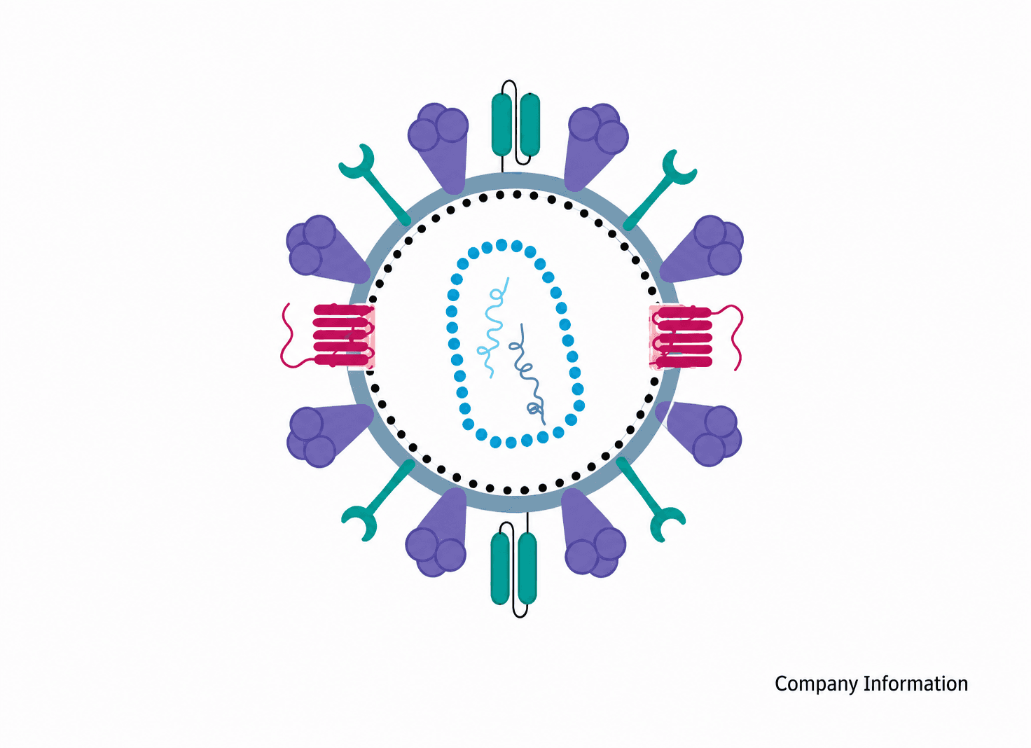 Engineered viral vector for in vivo CAR-T cell generation